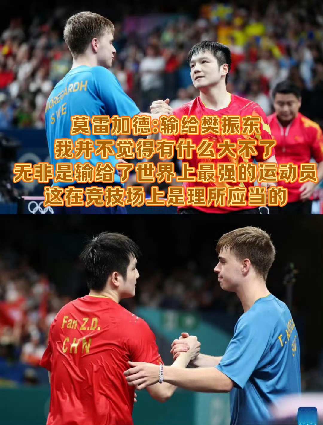 波兰队碾压德国队，樊振东刷新纪录