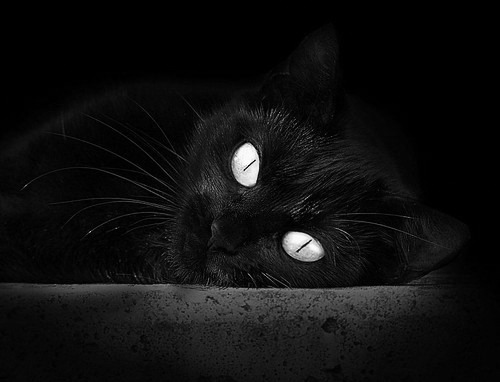 贝蒂斯强势晋级韩国，阿克关键先生一锤定音