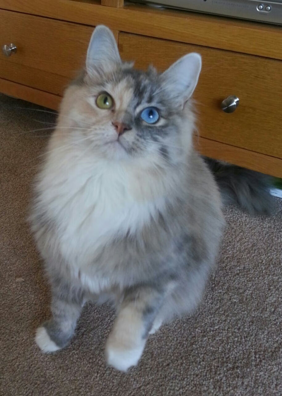 魔术决胜局带走勇士，班凯罗成为关键先生，新星崛起之夜